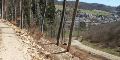 World Cup Albstadt_Course_inspection_bullentaele_acrossthecountry_mountainbike_xco_by Goller